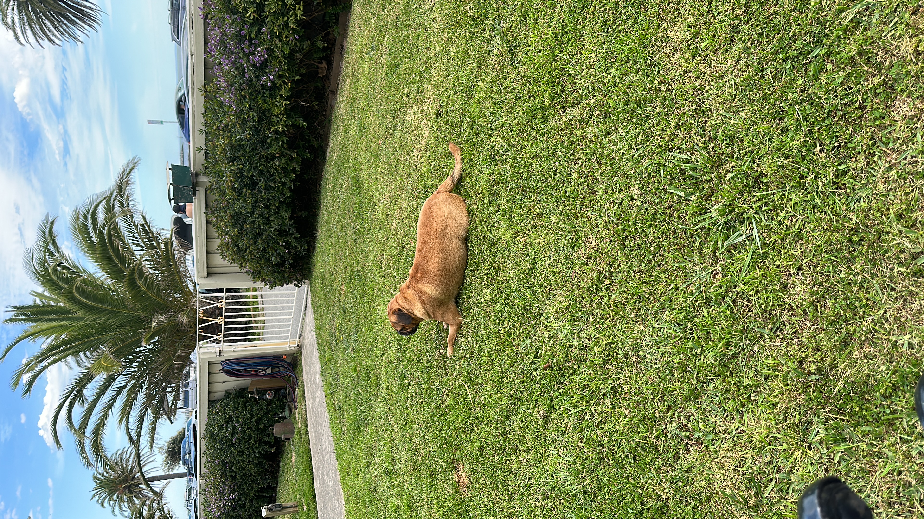 image-15