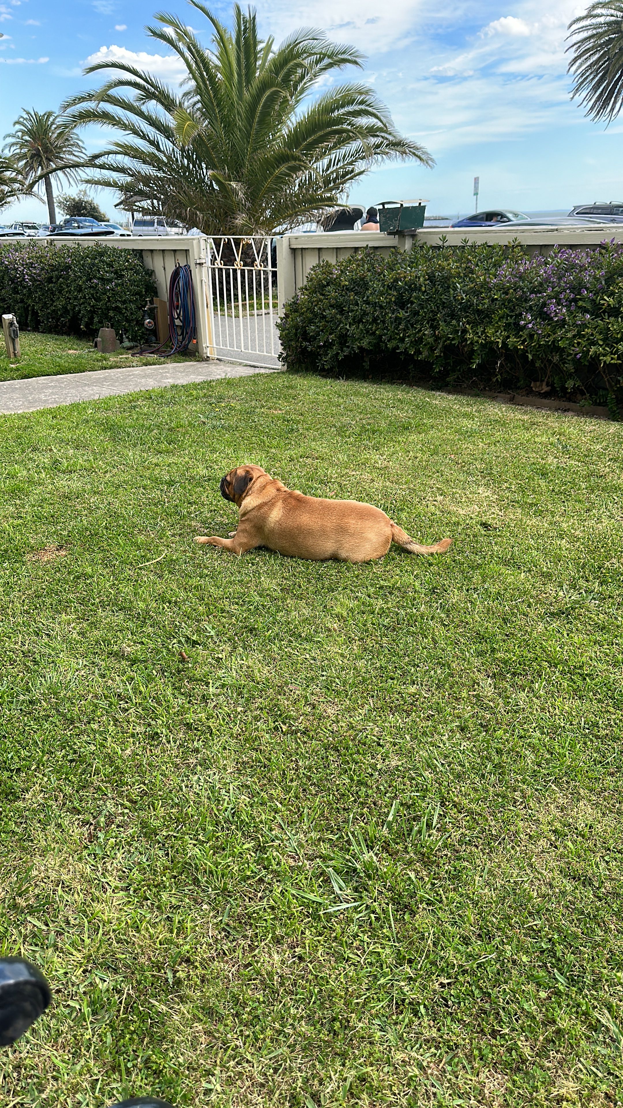 image-15