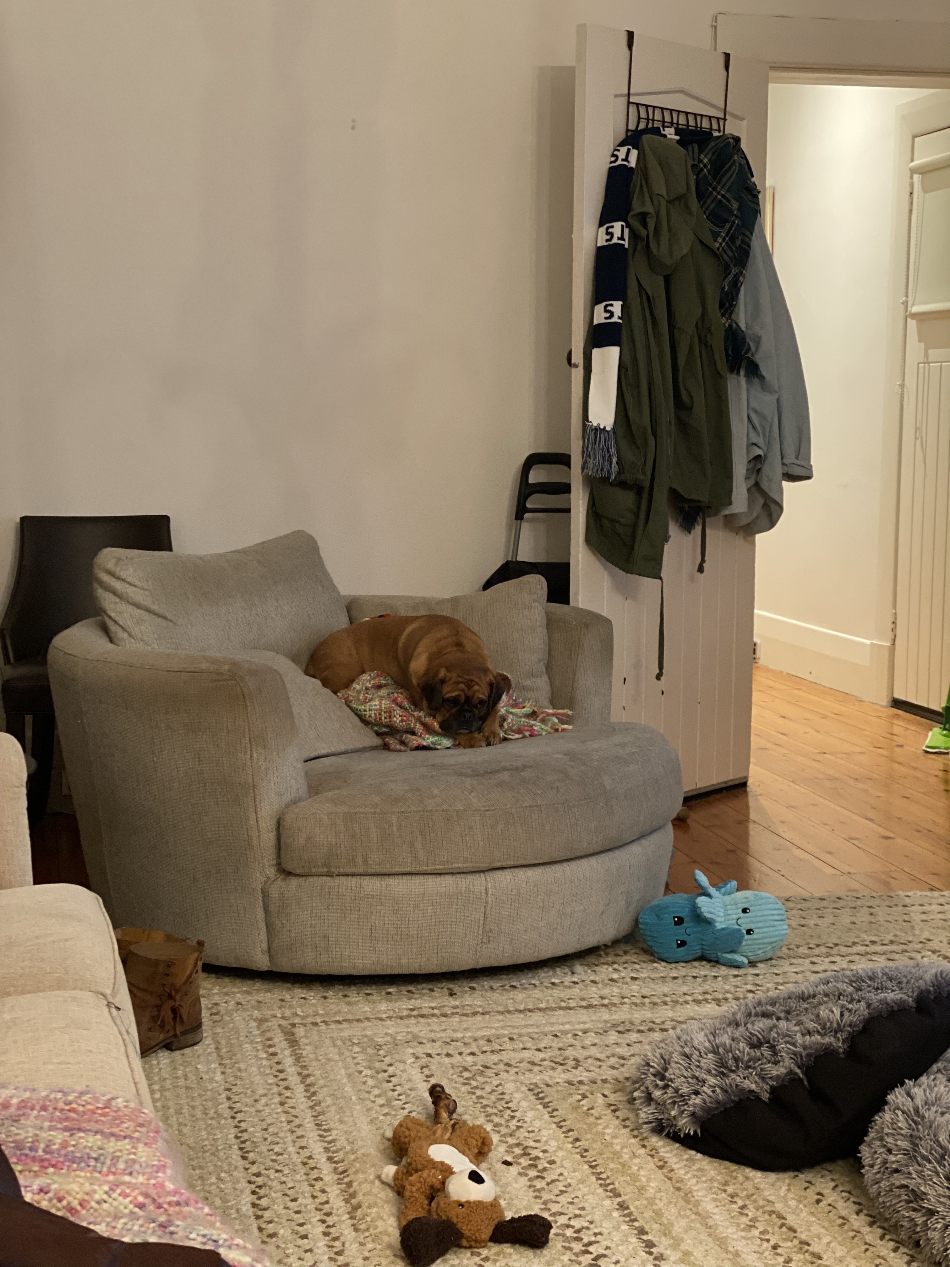 image-16