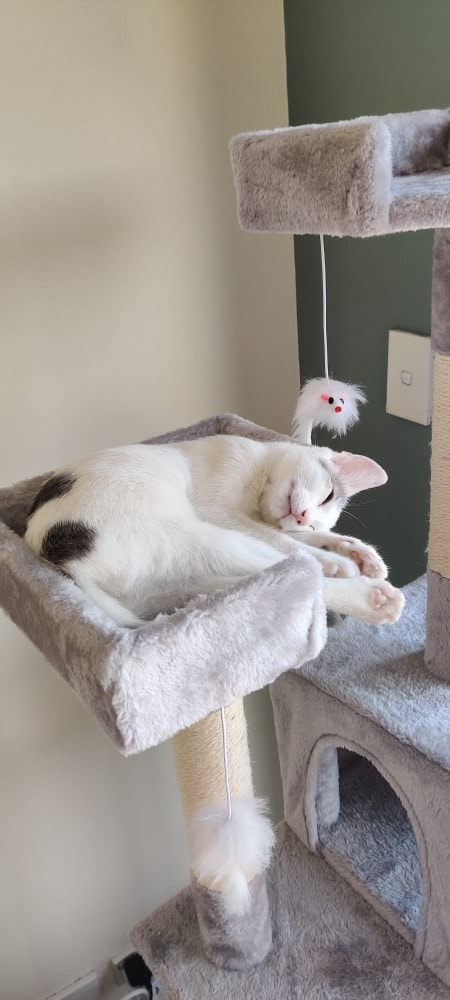 image-9