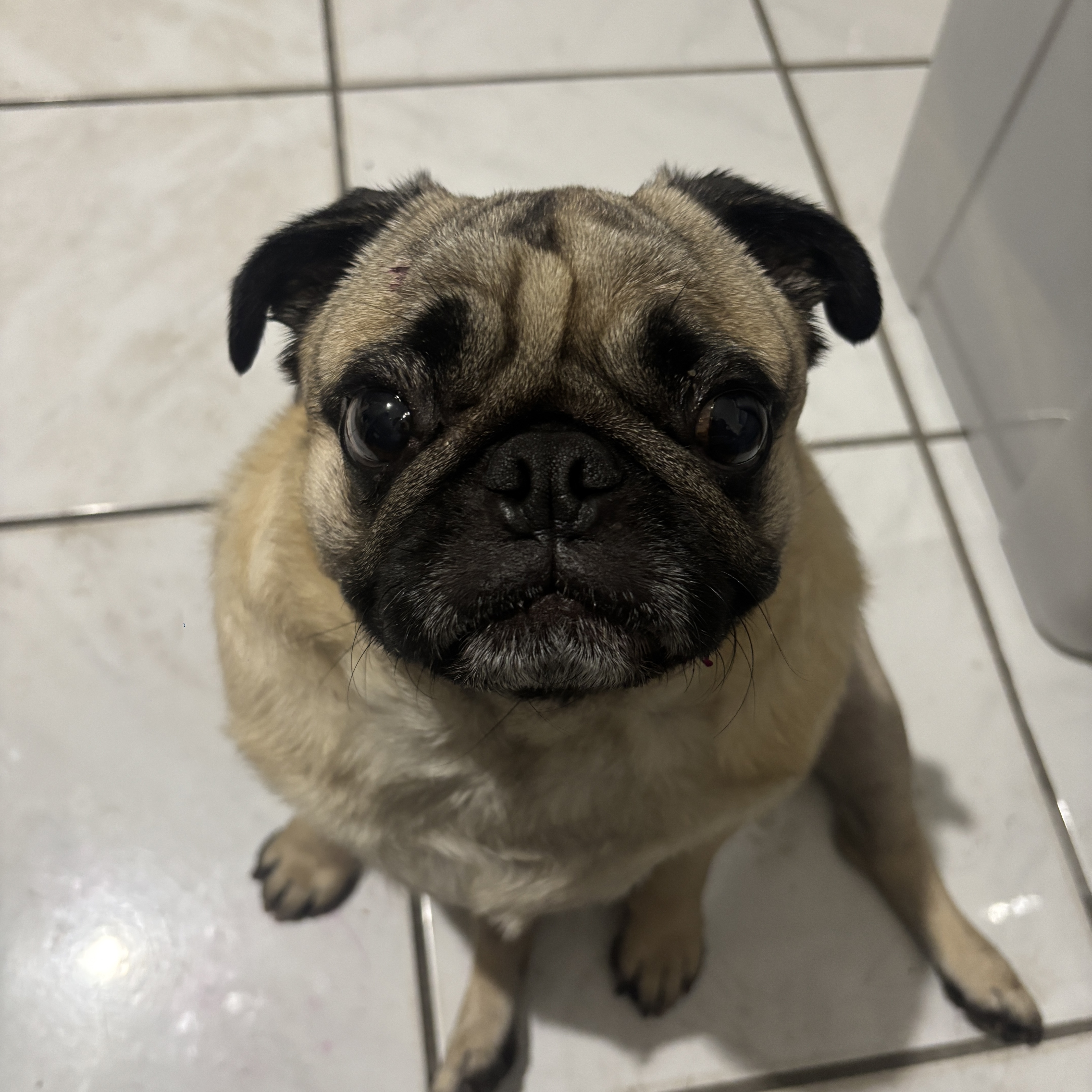 Diego