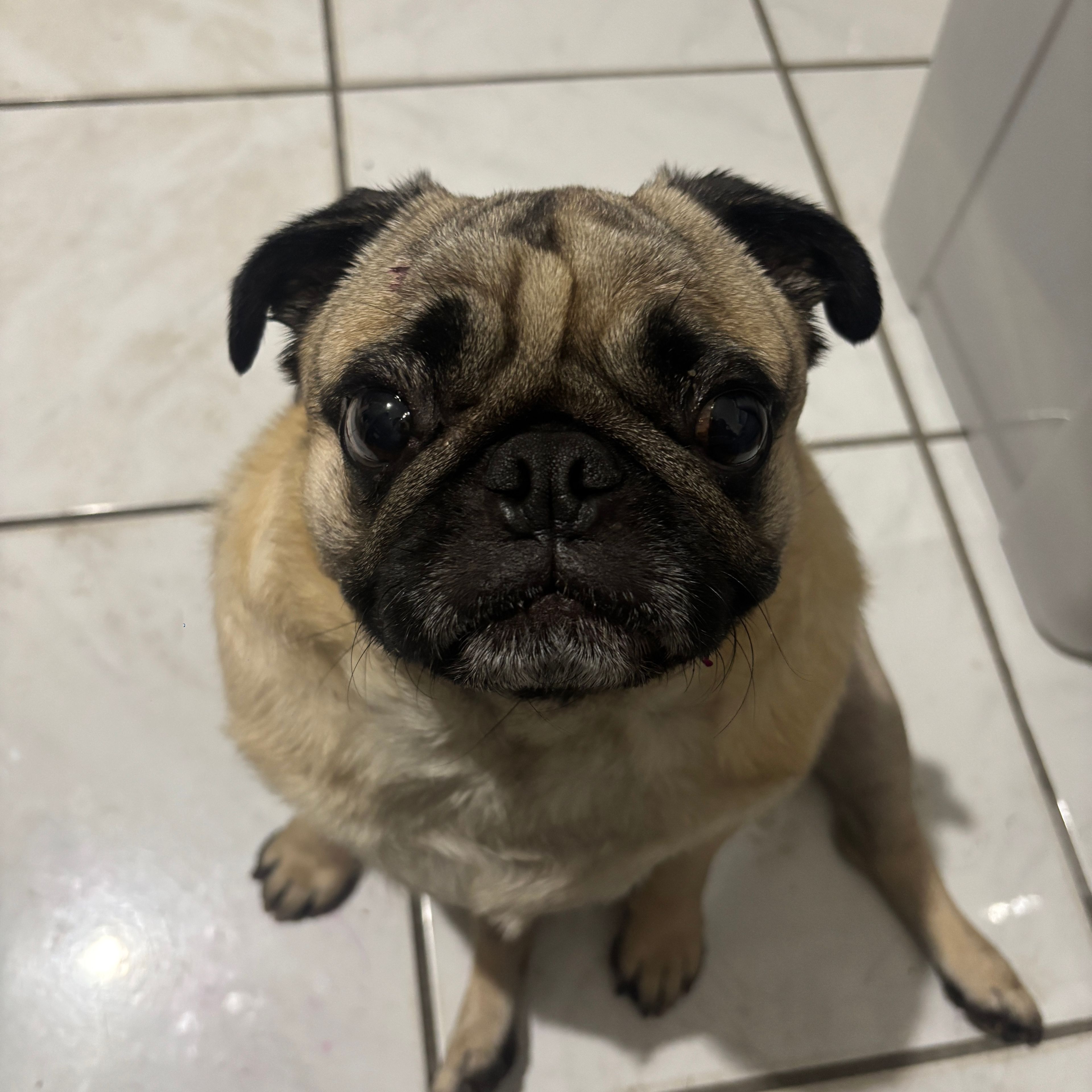 Diego