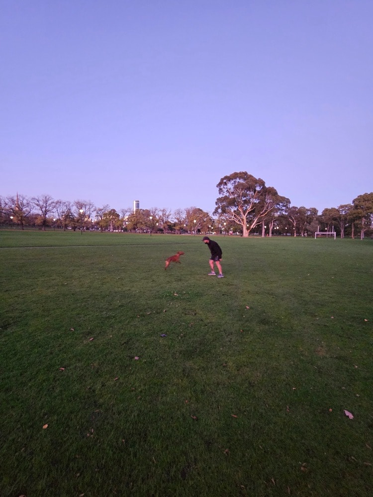 image-8