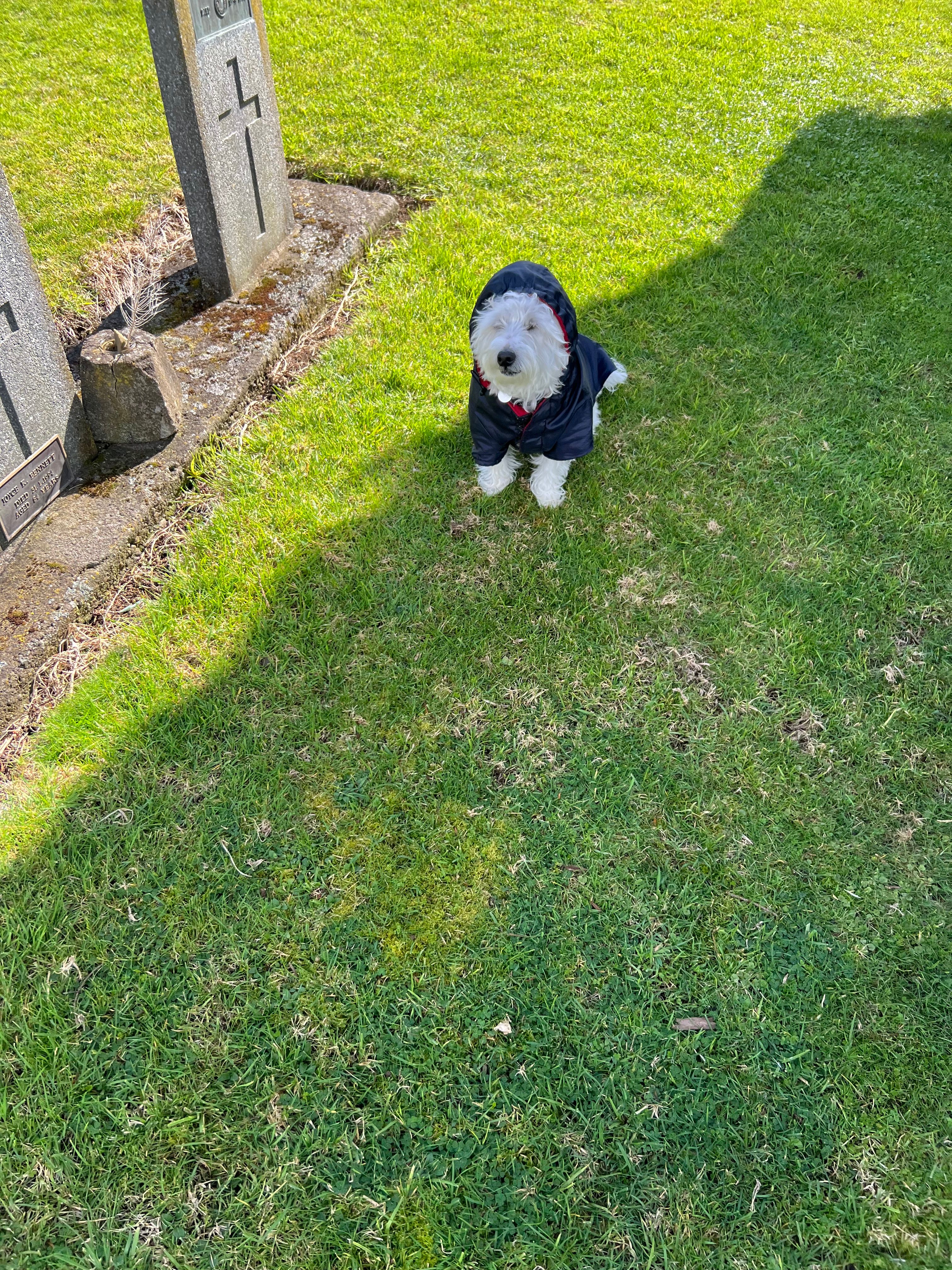 image-10