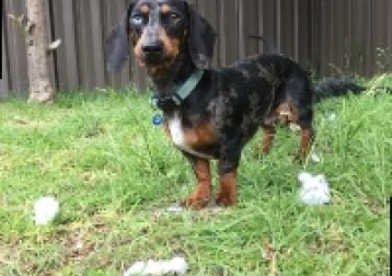 Ben
