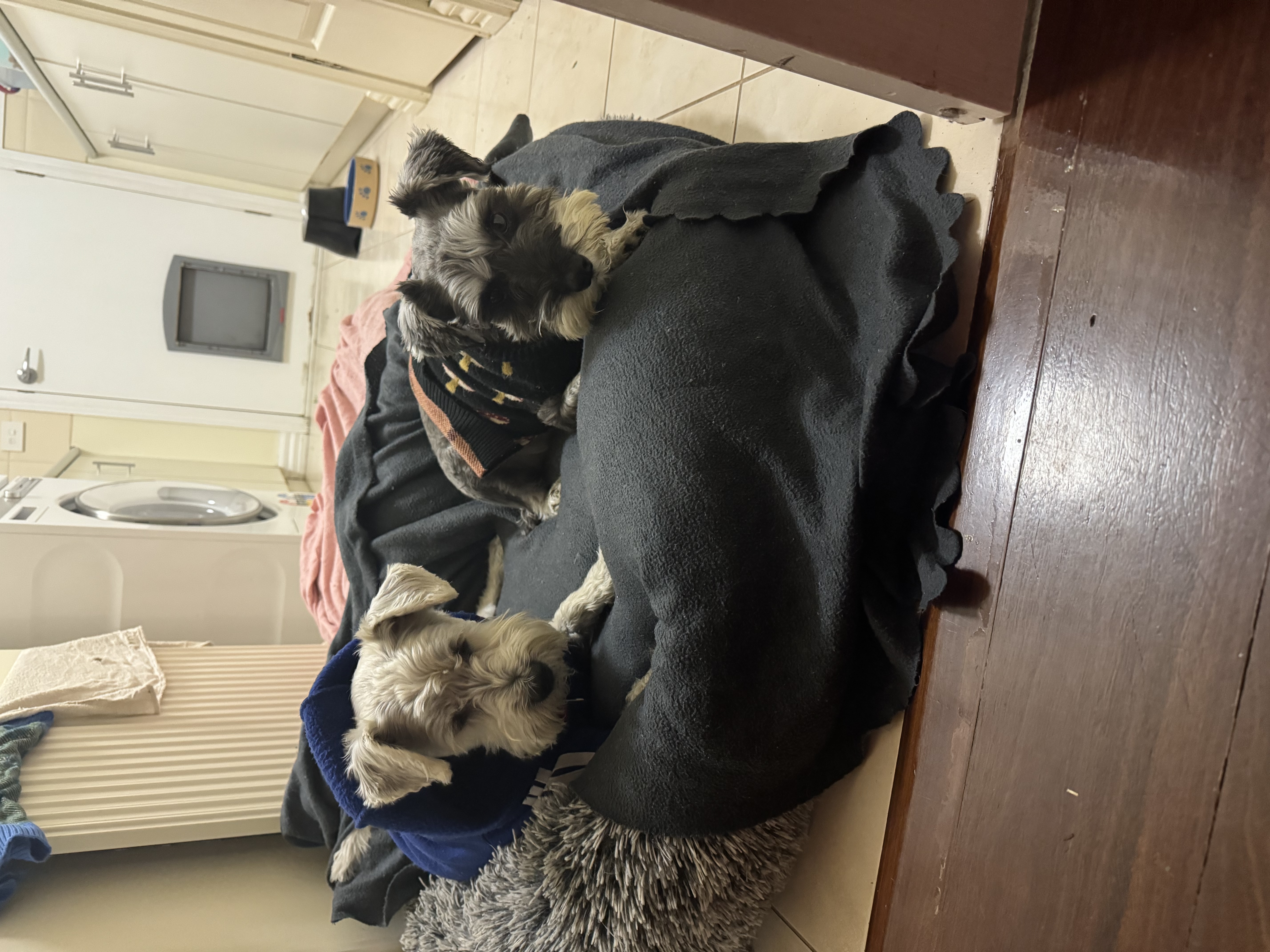 image-12