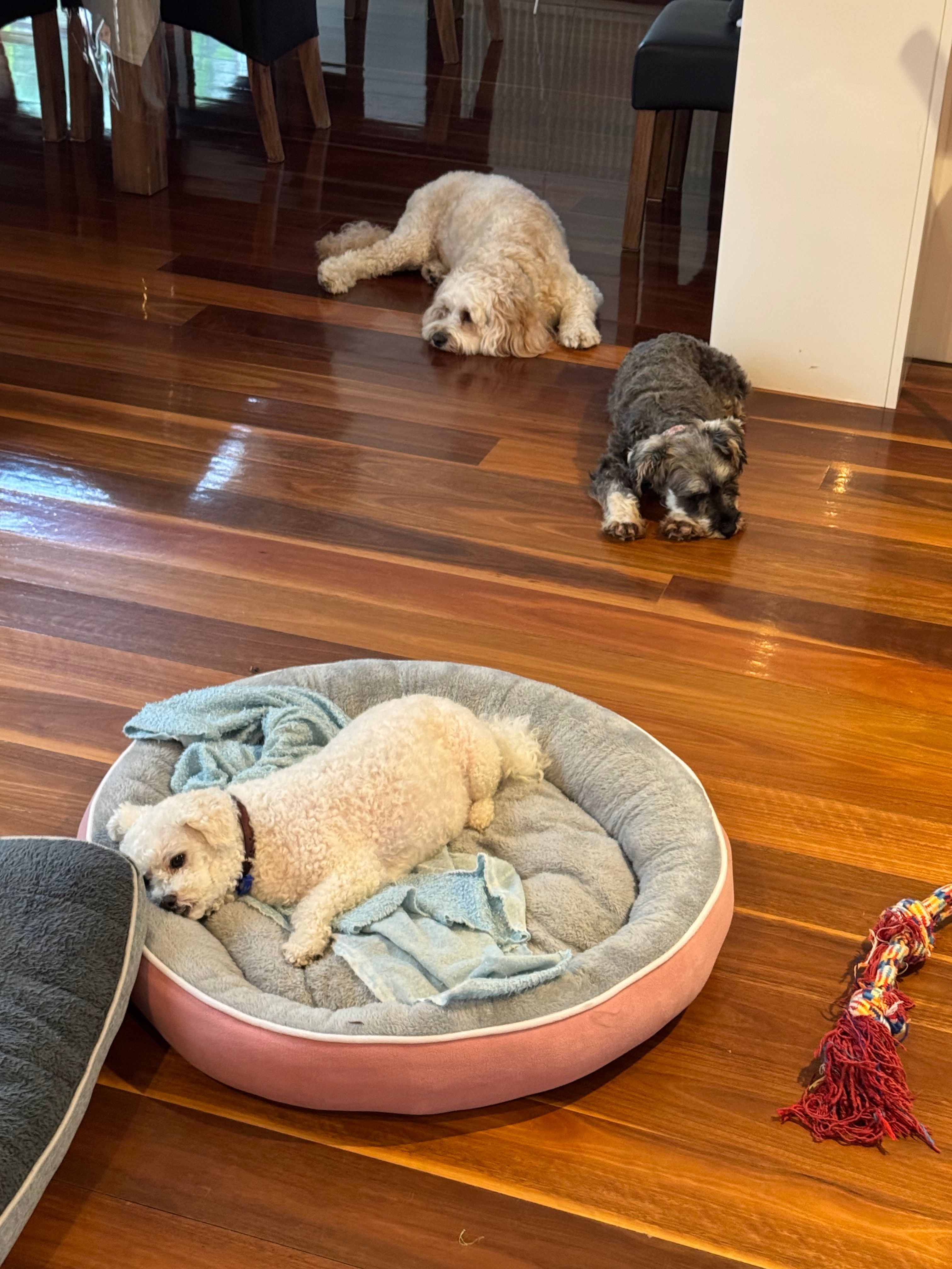 image-14