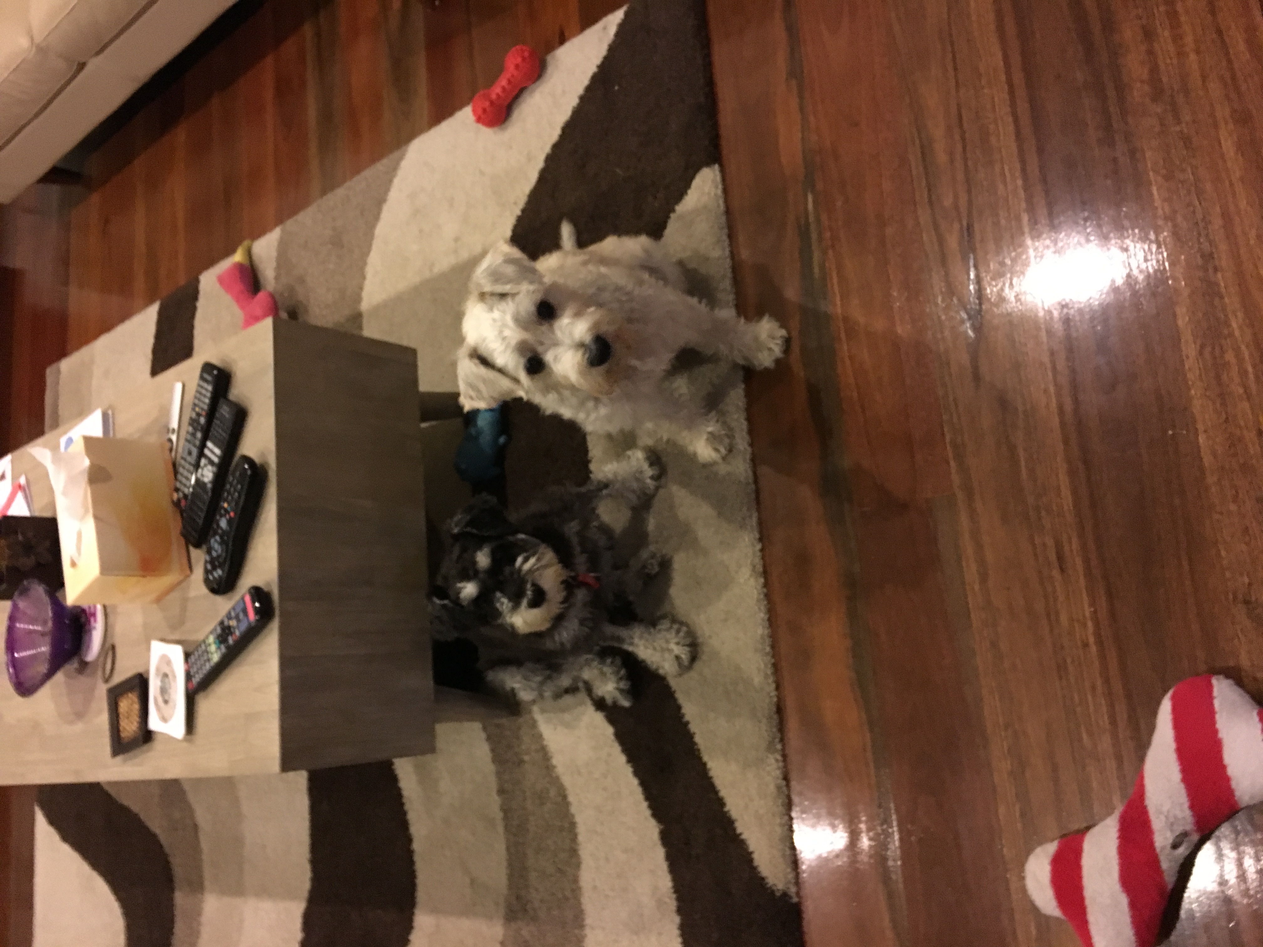 image-16