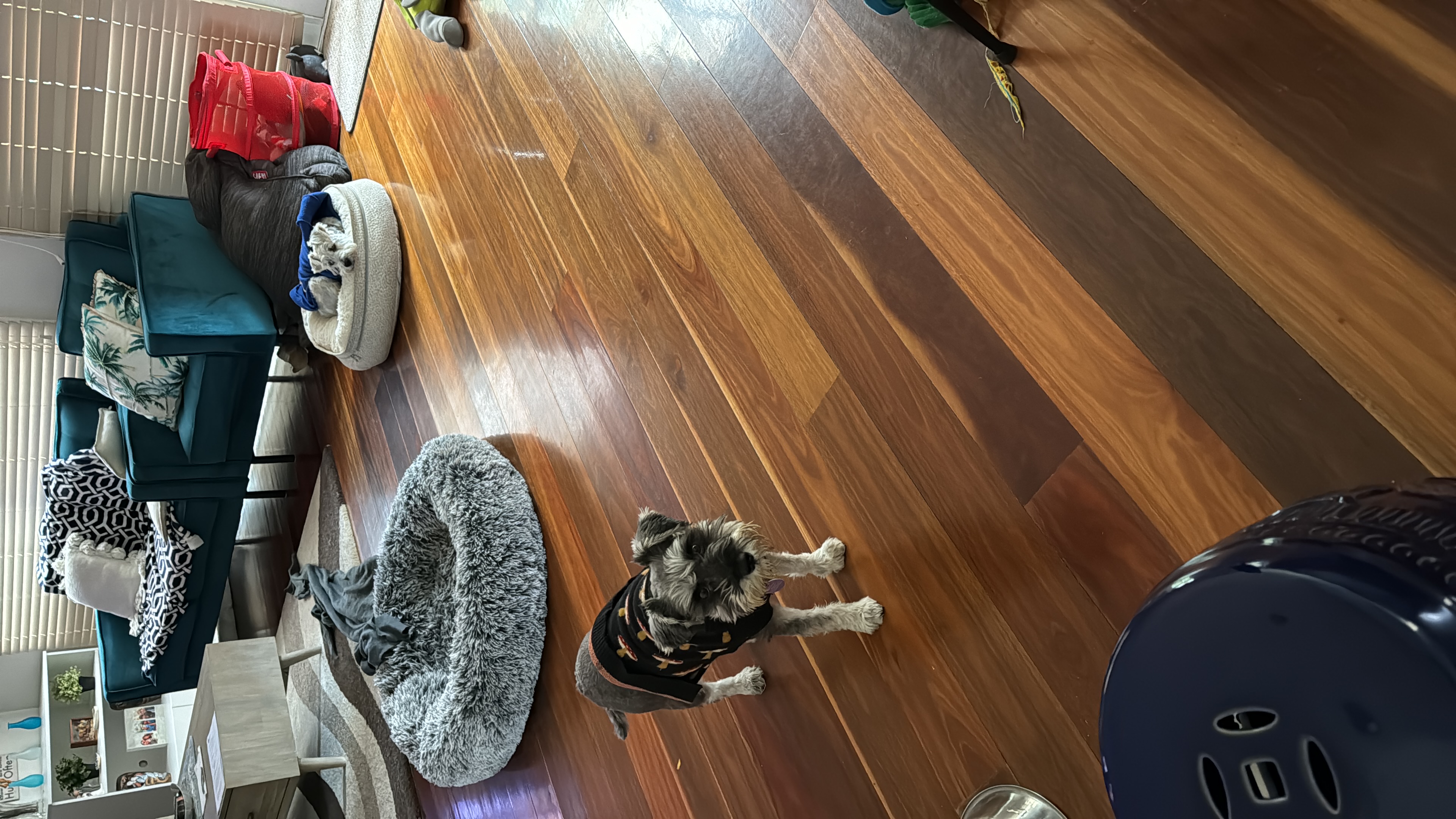 image-15