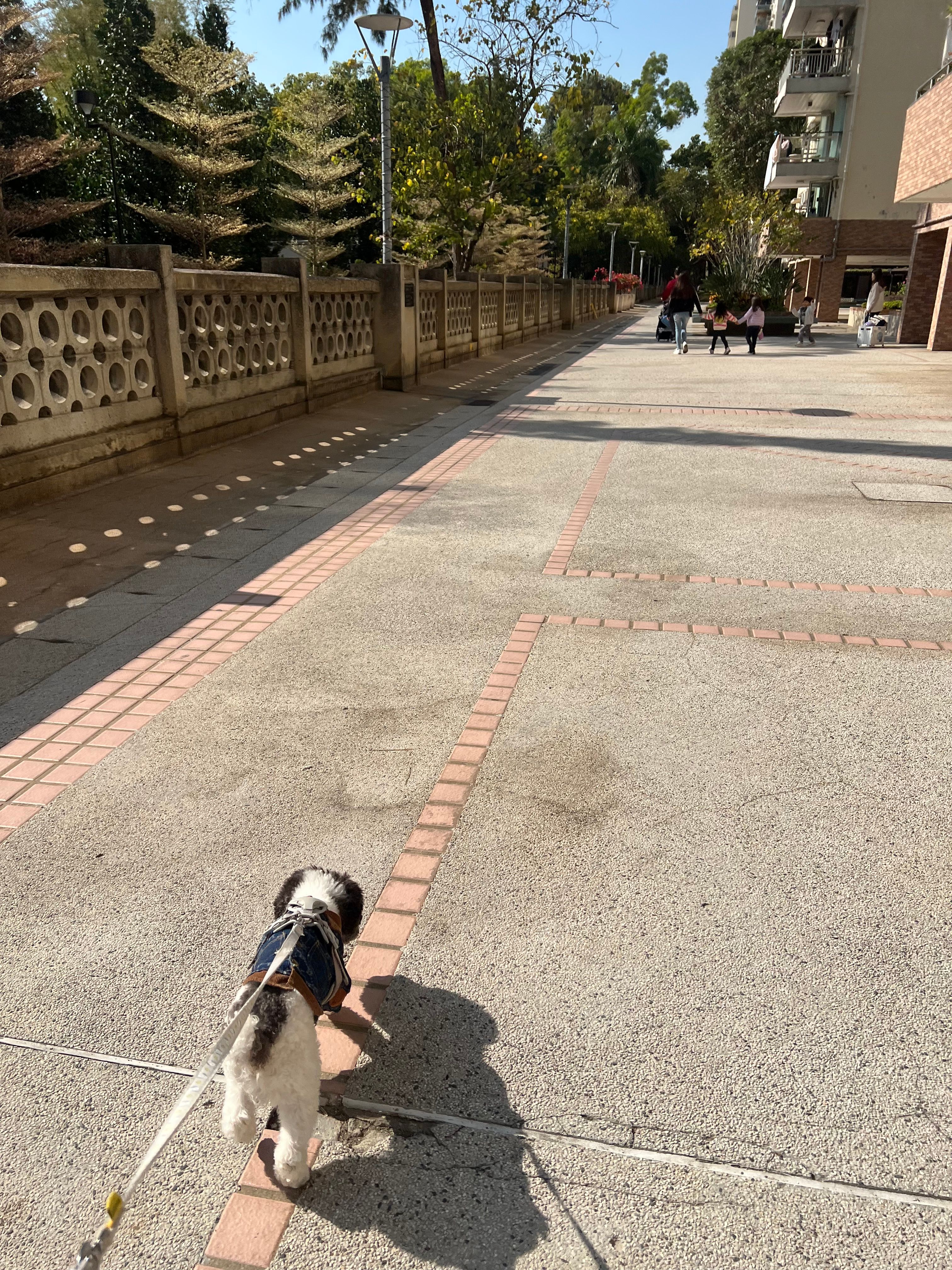 image-17