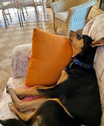 image-6