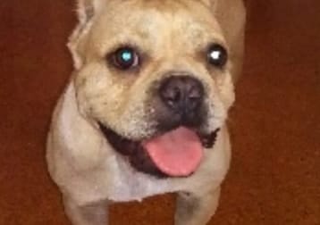Stinky (R.I. P. - 15/11/23)