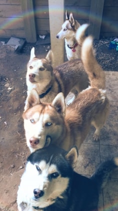 image-14