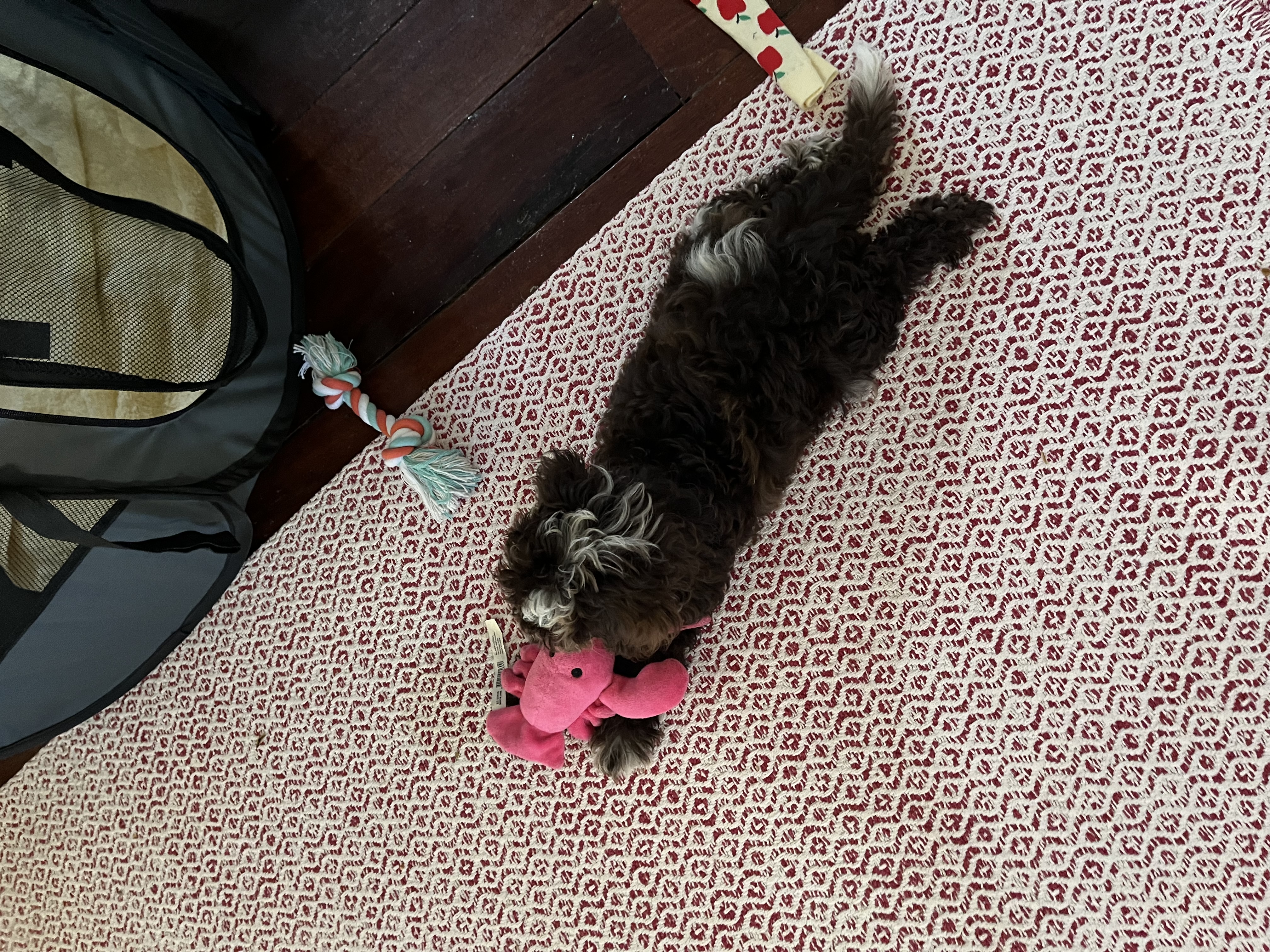 image-8