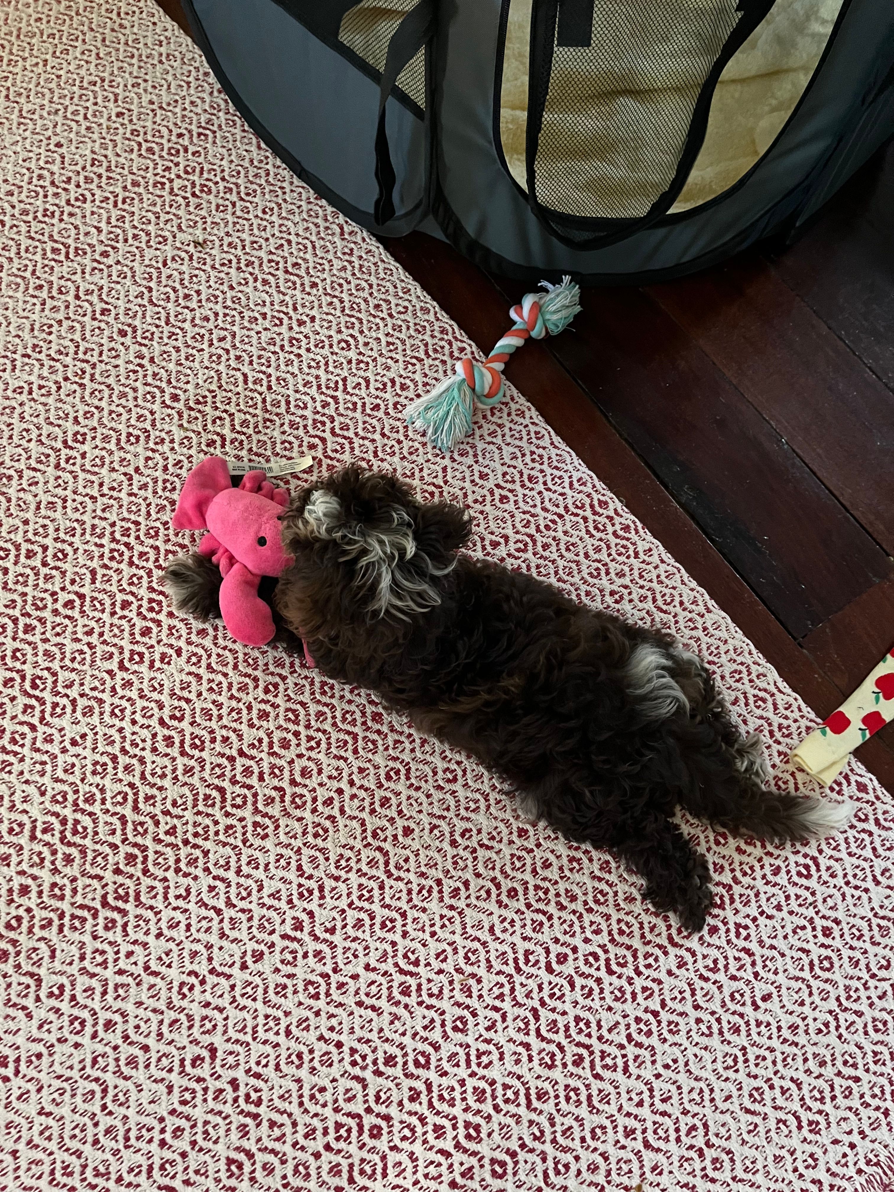image-8