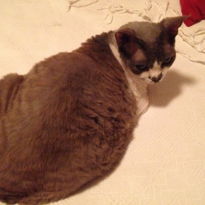 image-83