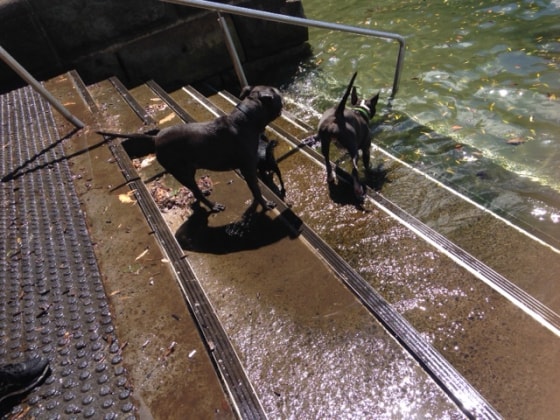 image-43
