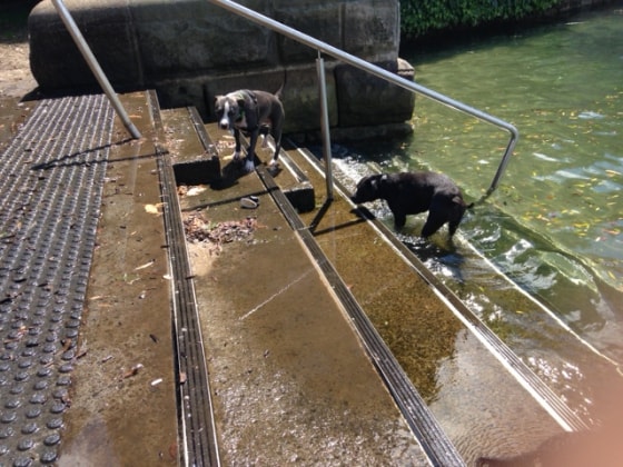 image-47