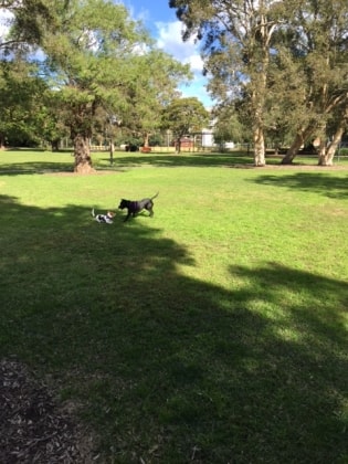 image-32