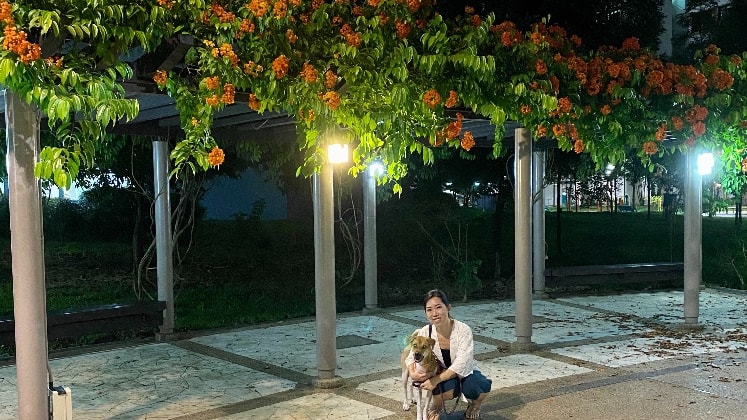 image-4