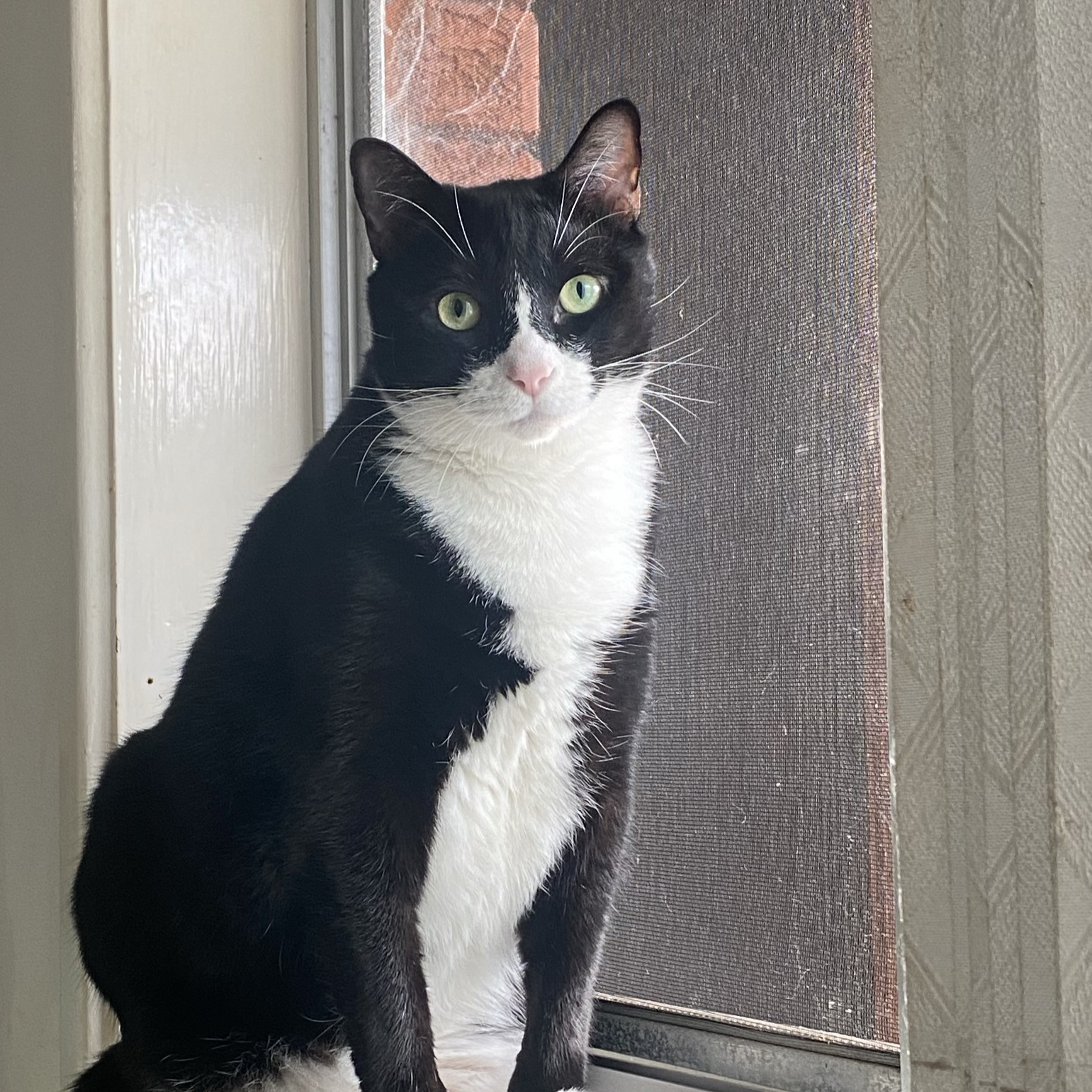 Max 