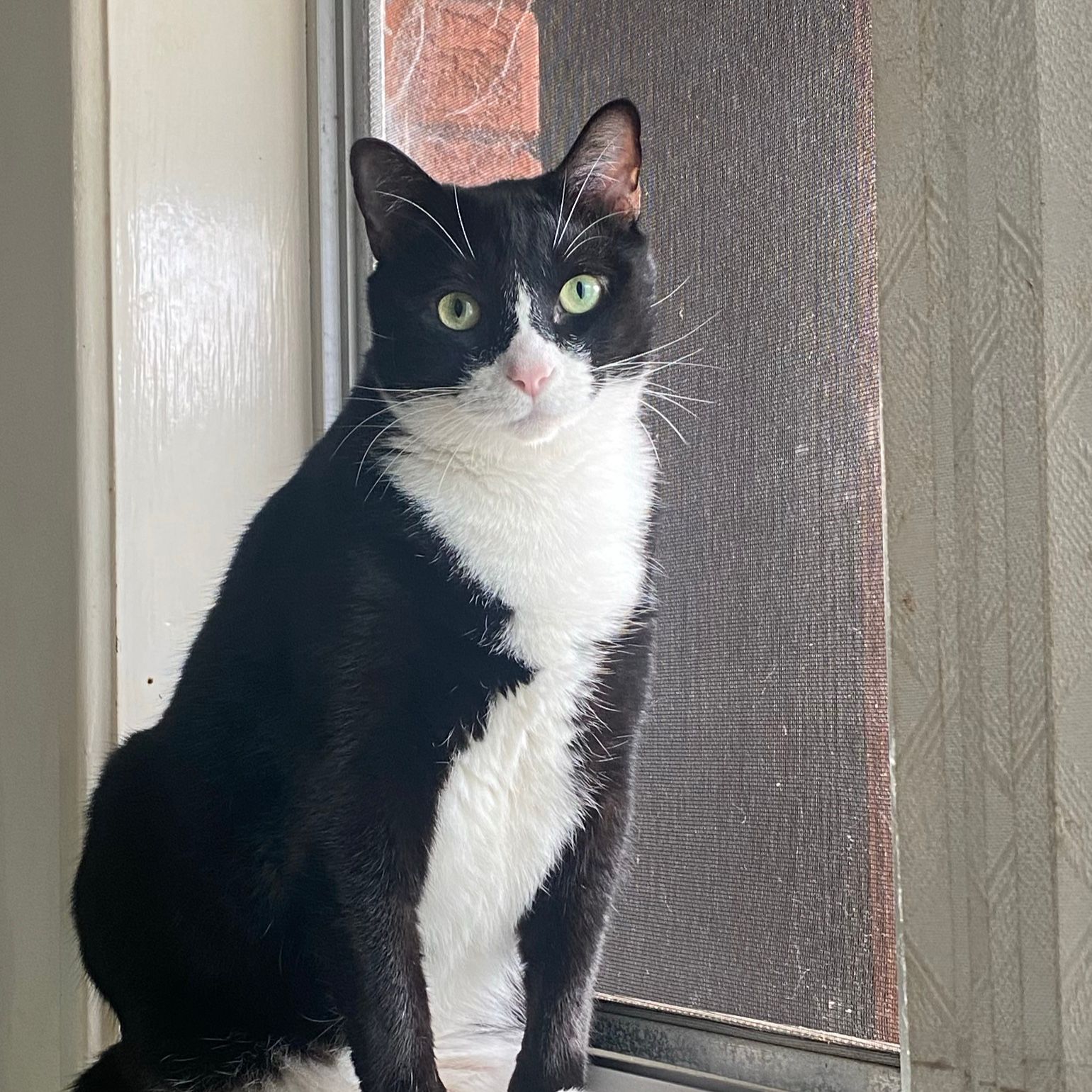 Max