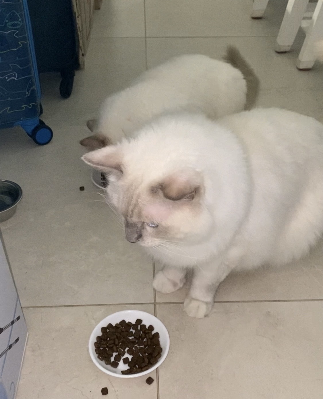 image-18
