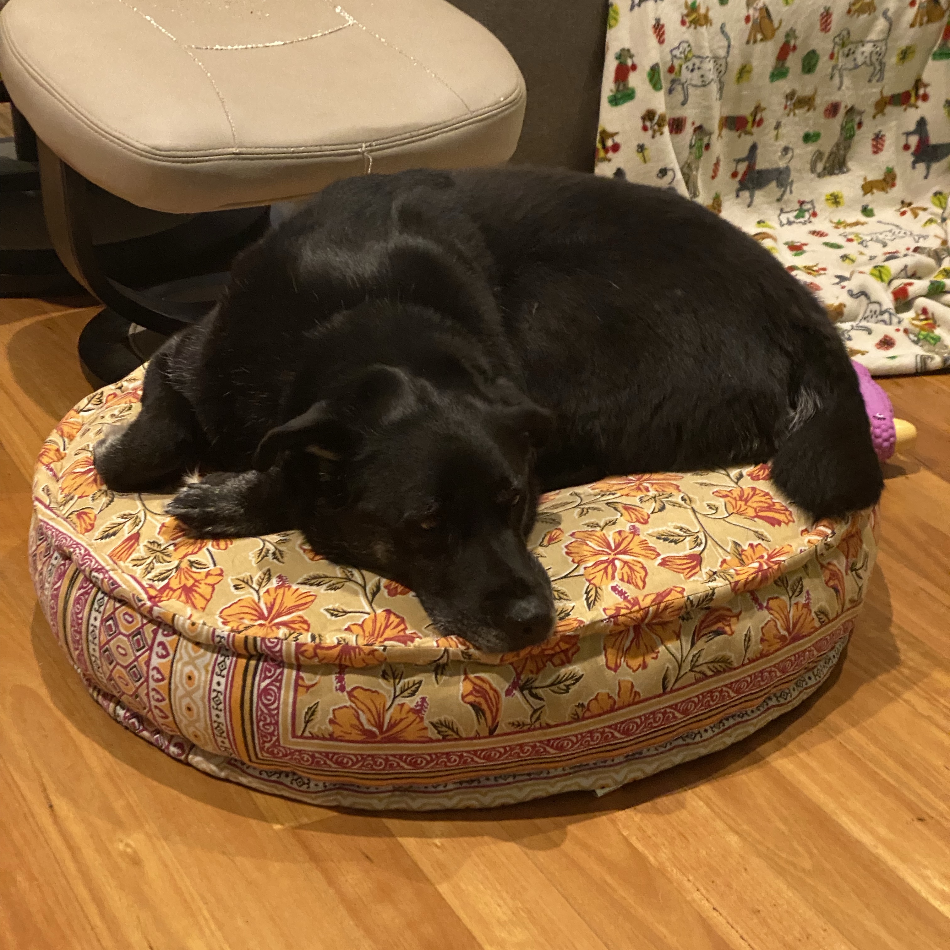 Rosie