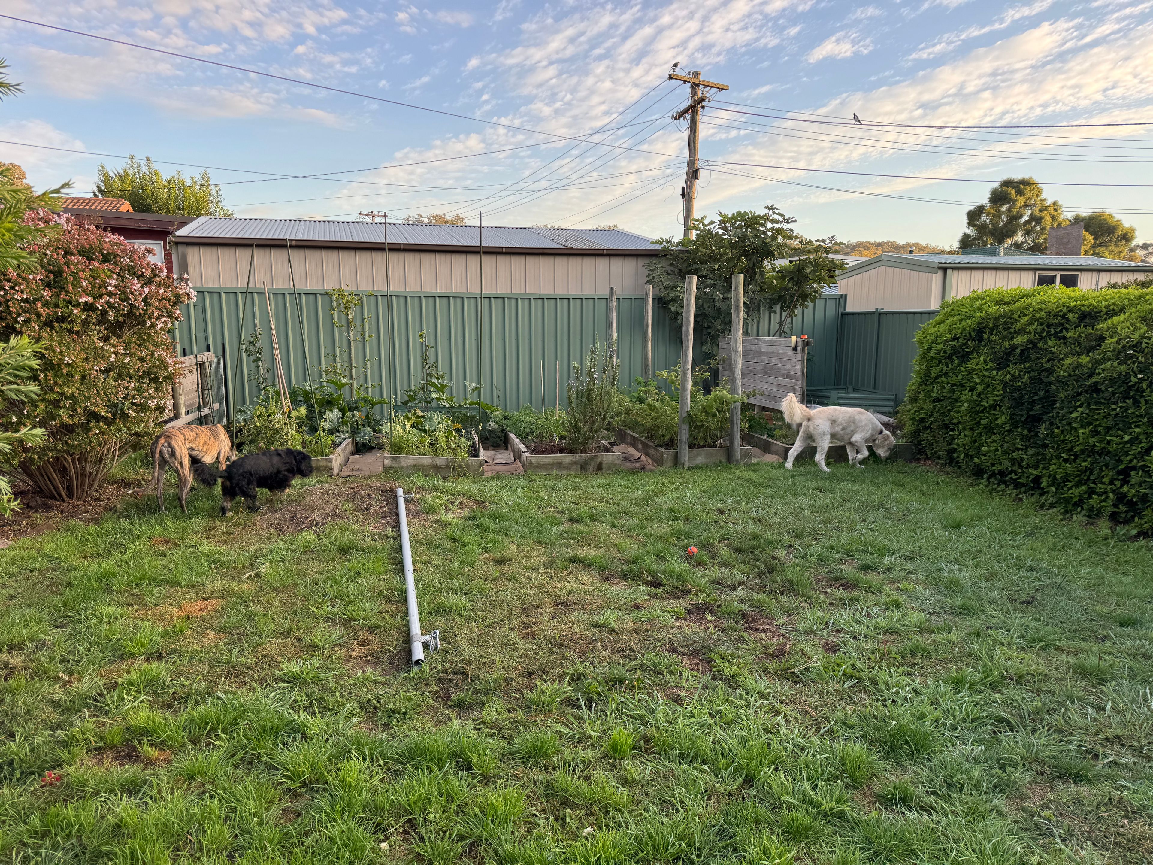 image-18