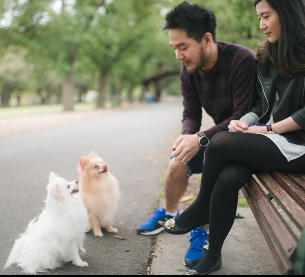 image-0