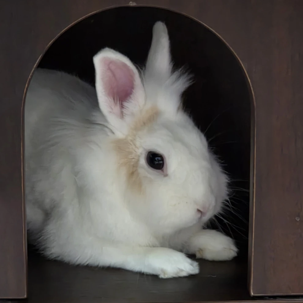 Fluffy