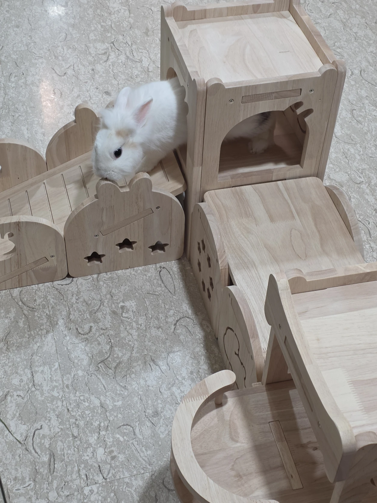 image-7