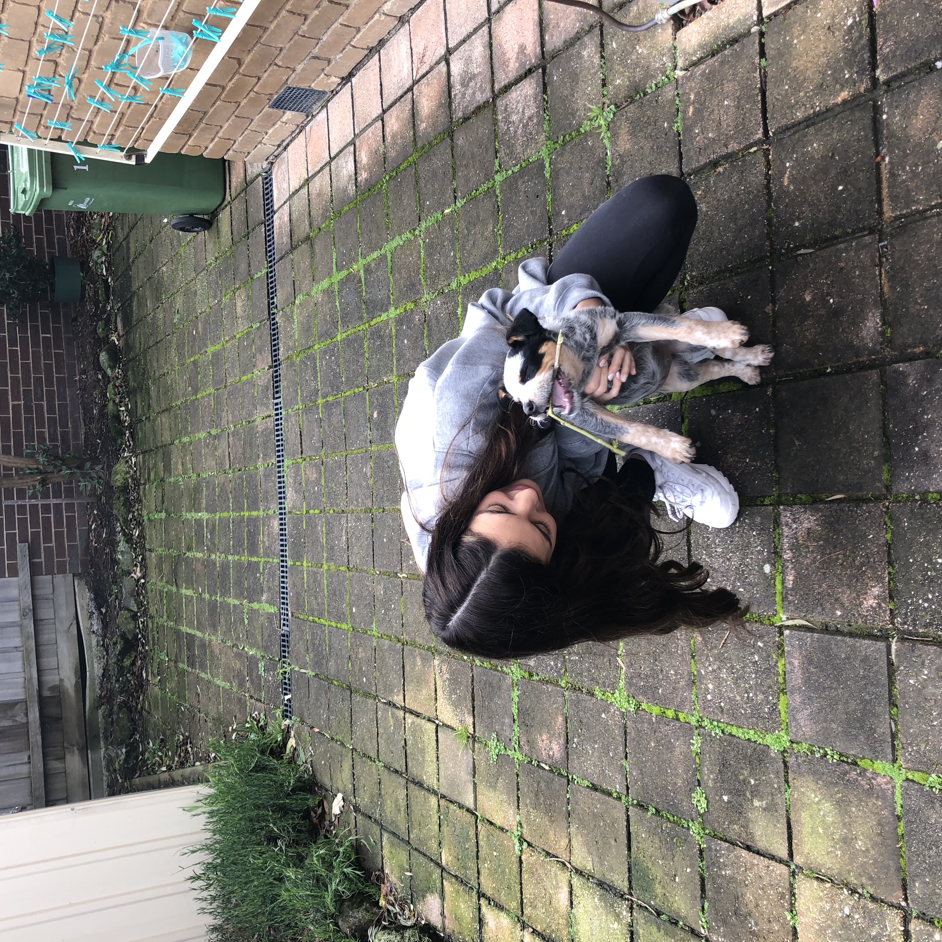image-6