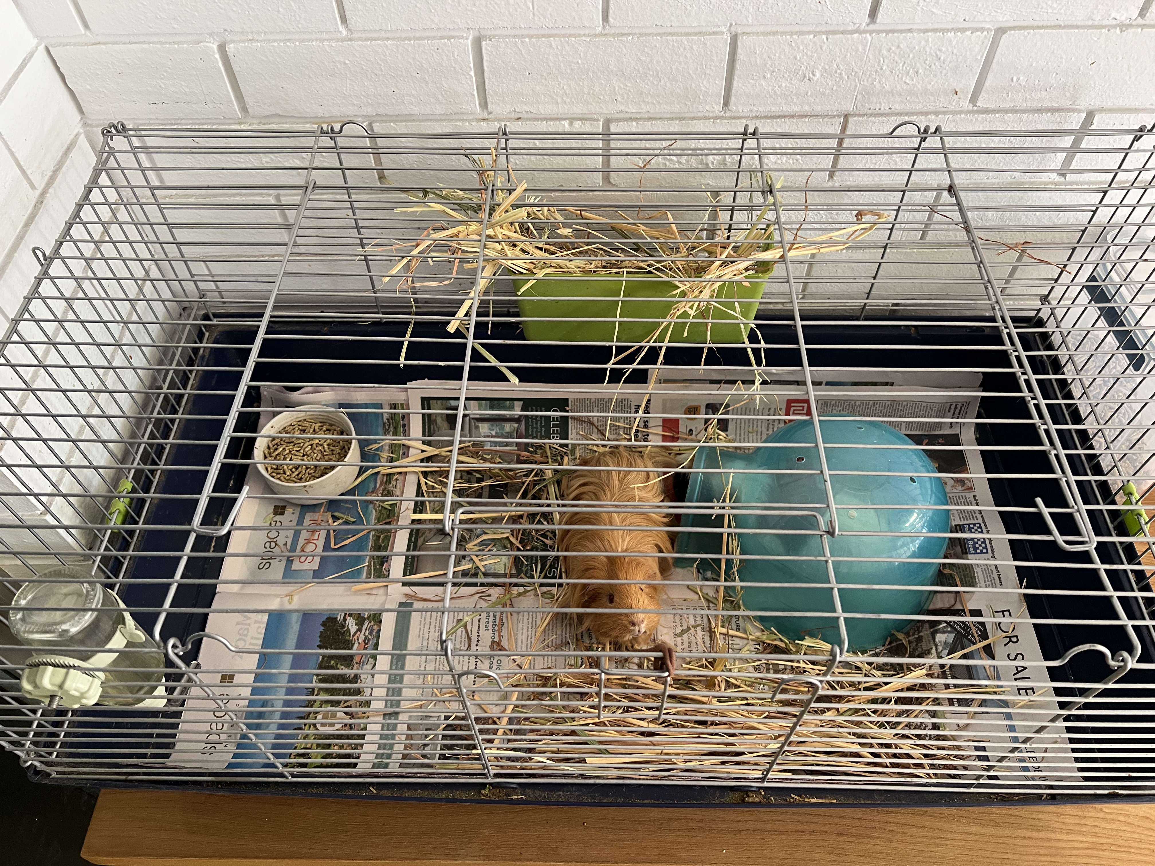 image-8