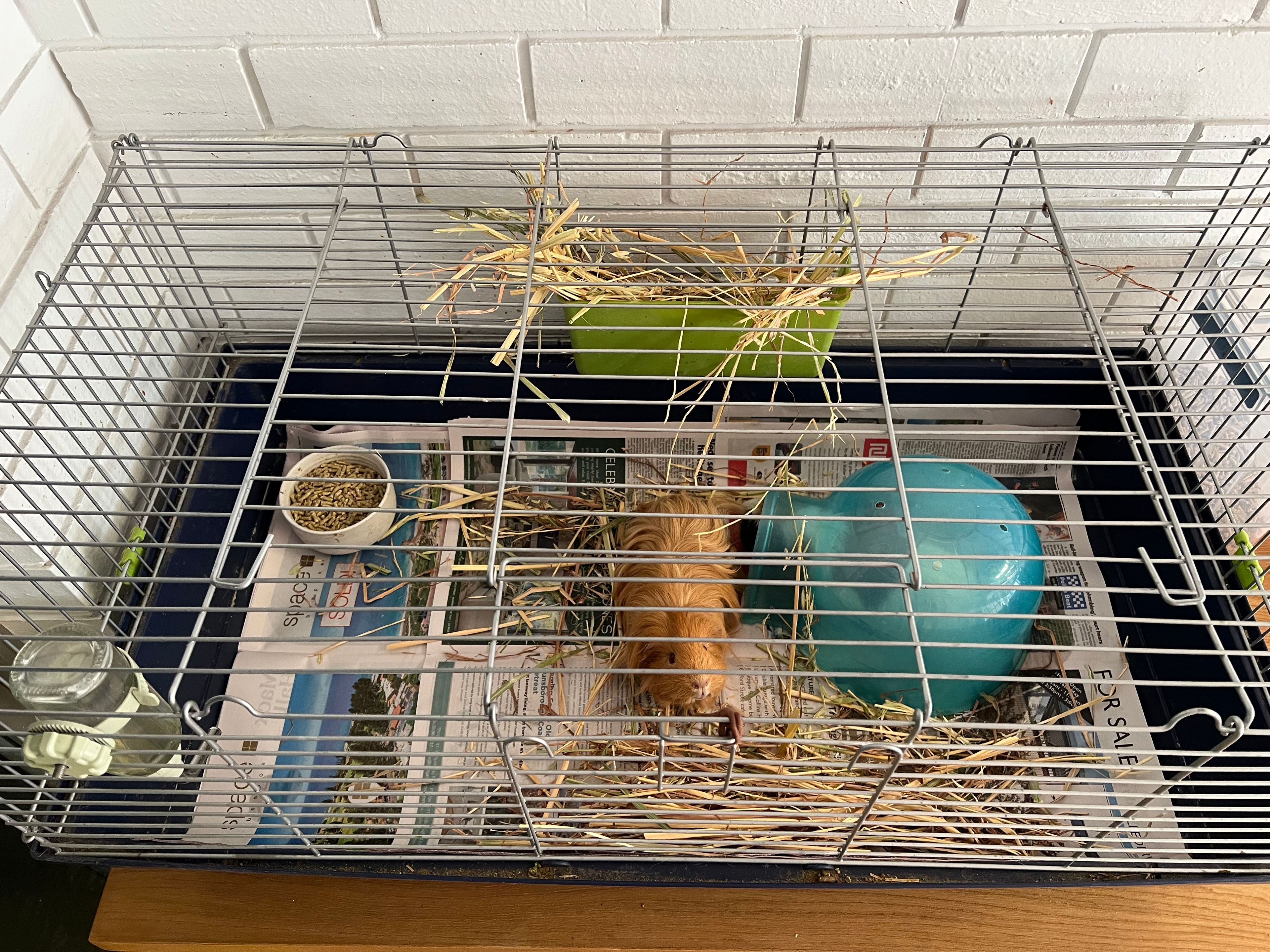 image-8