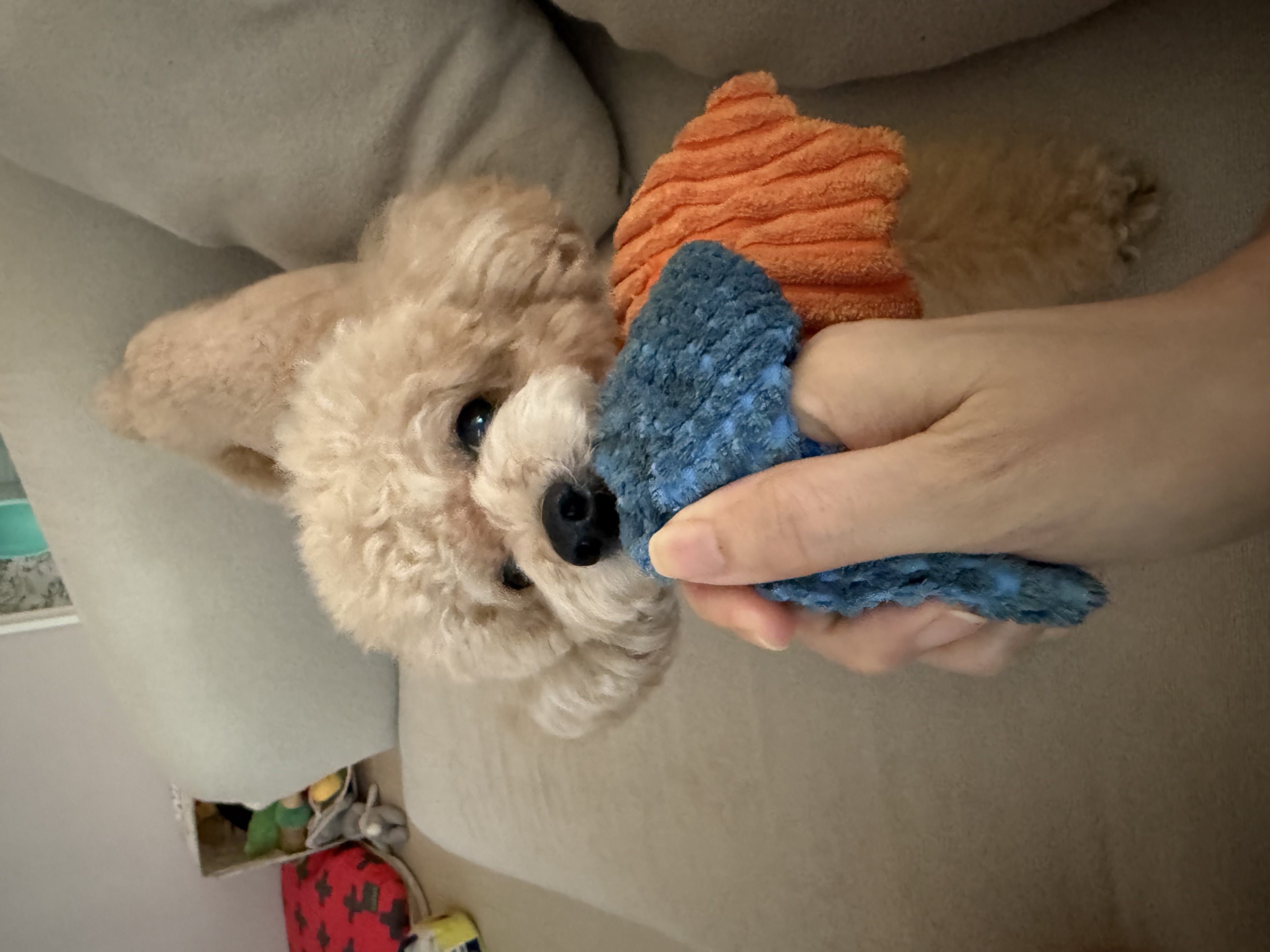 image-9
