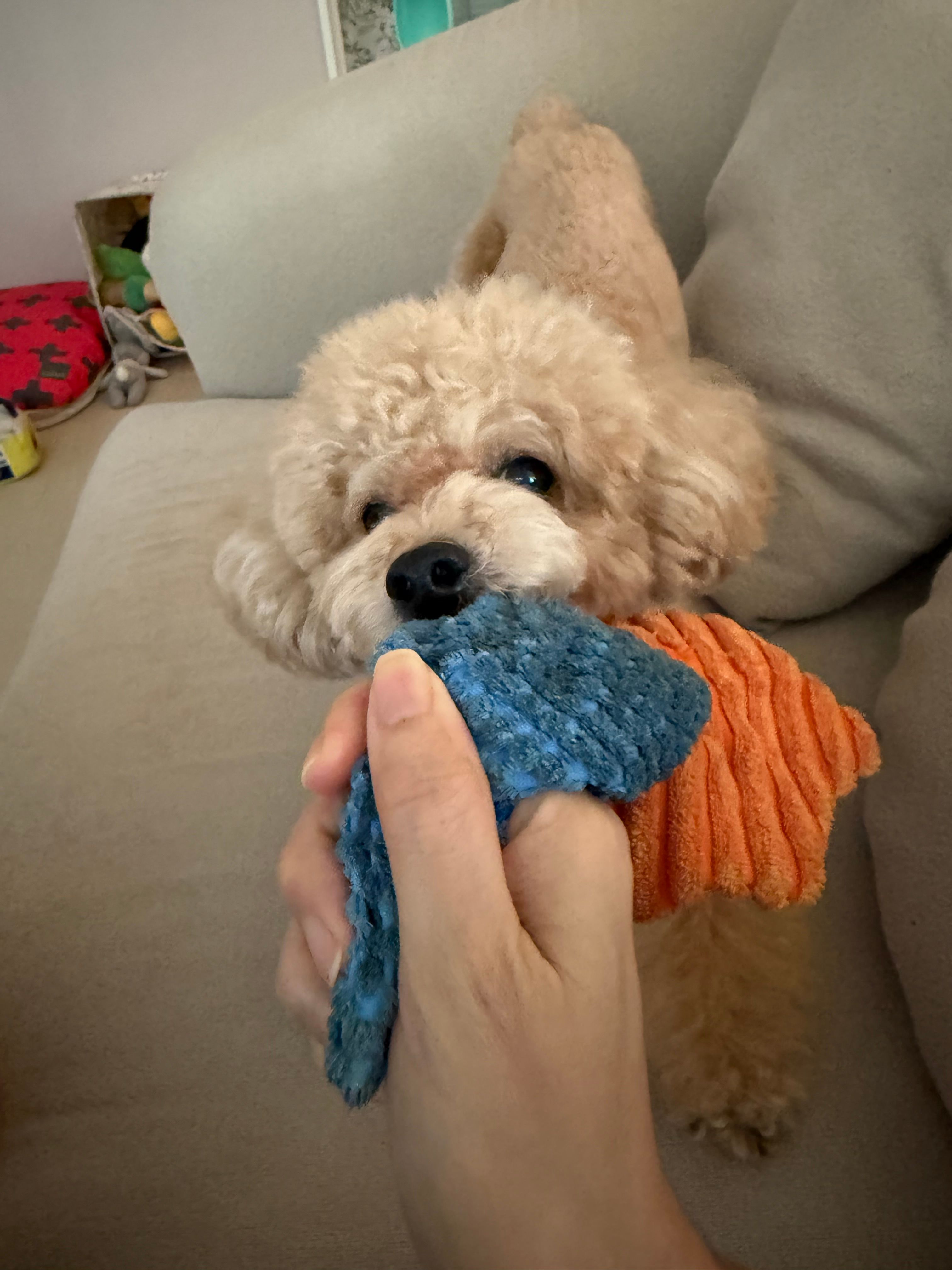 image-9