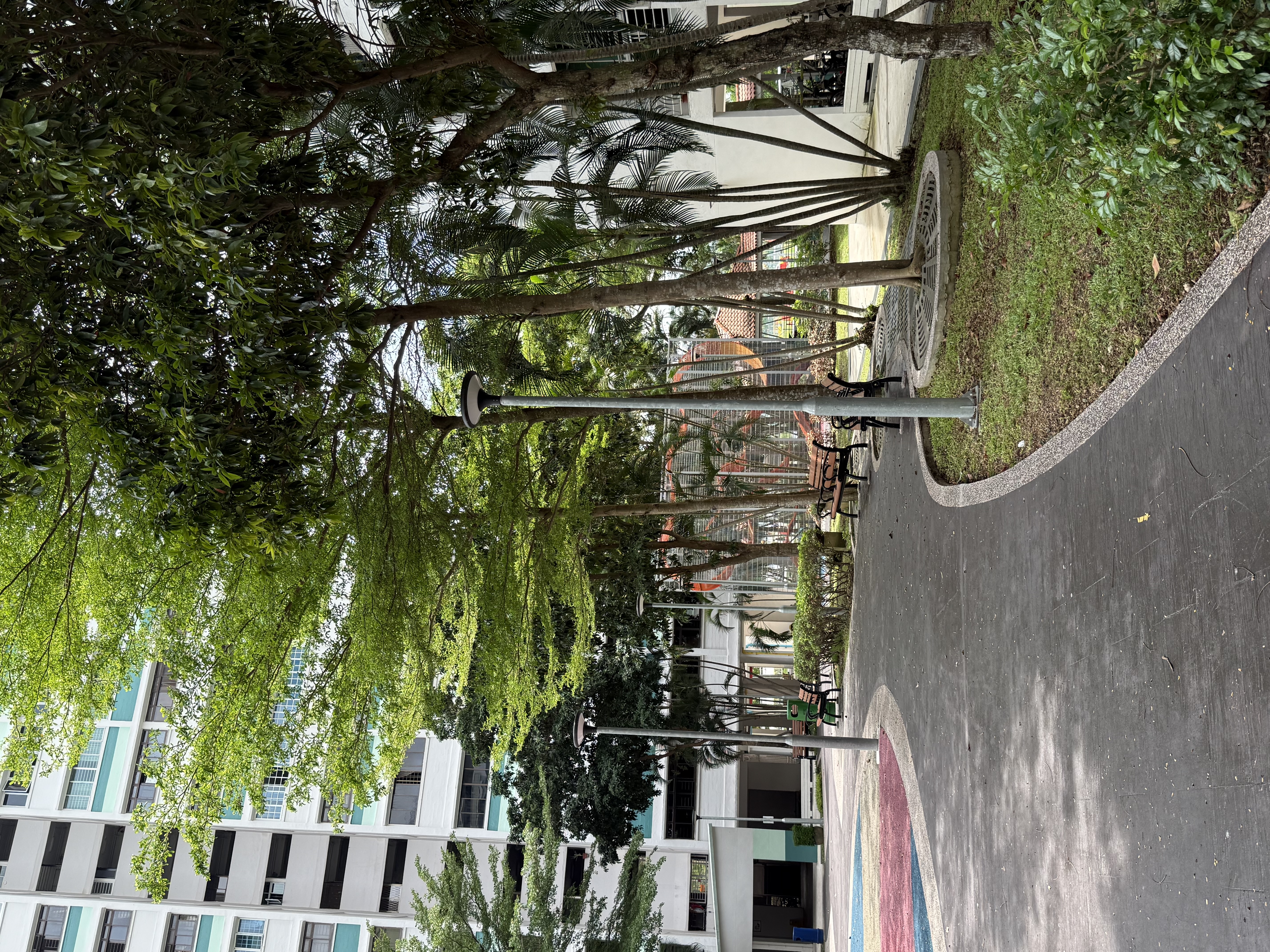 image-19