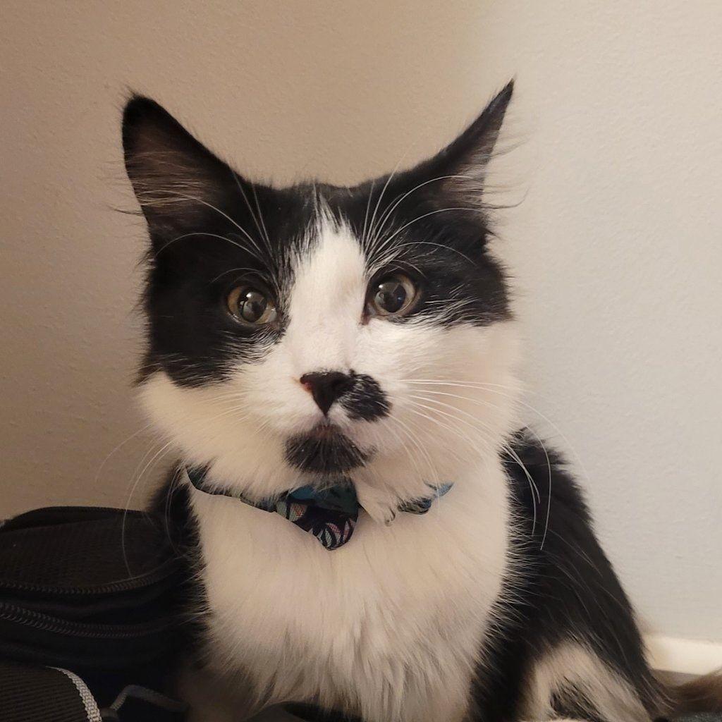 Tilly