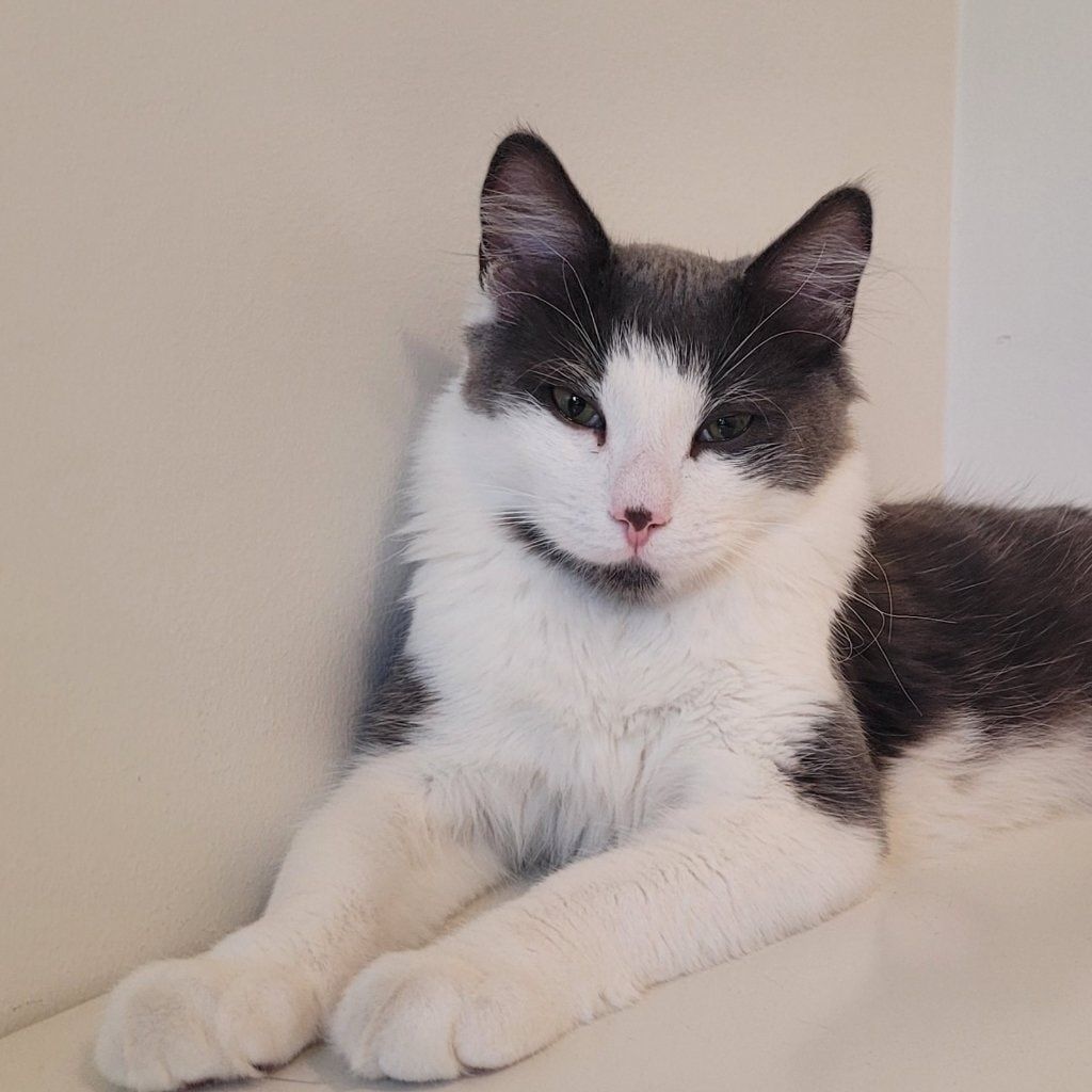 Casper