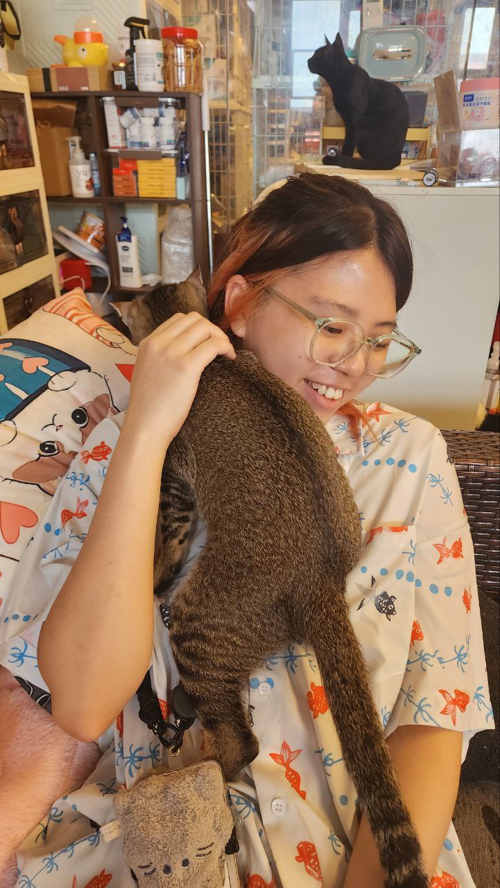 image-2