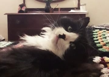 Chaplin ^-^