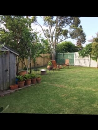 image-15