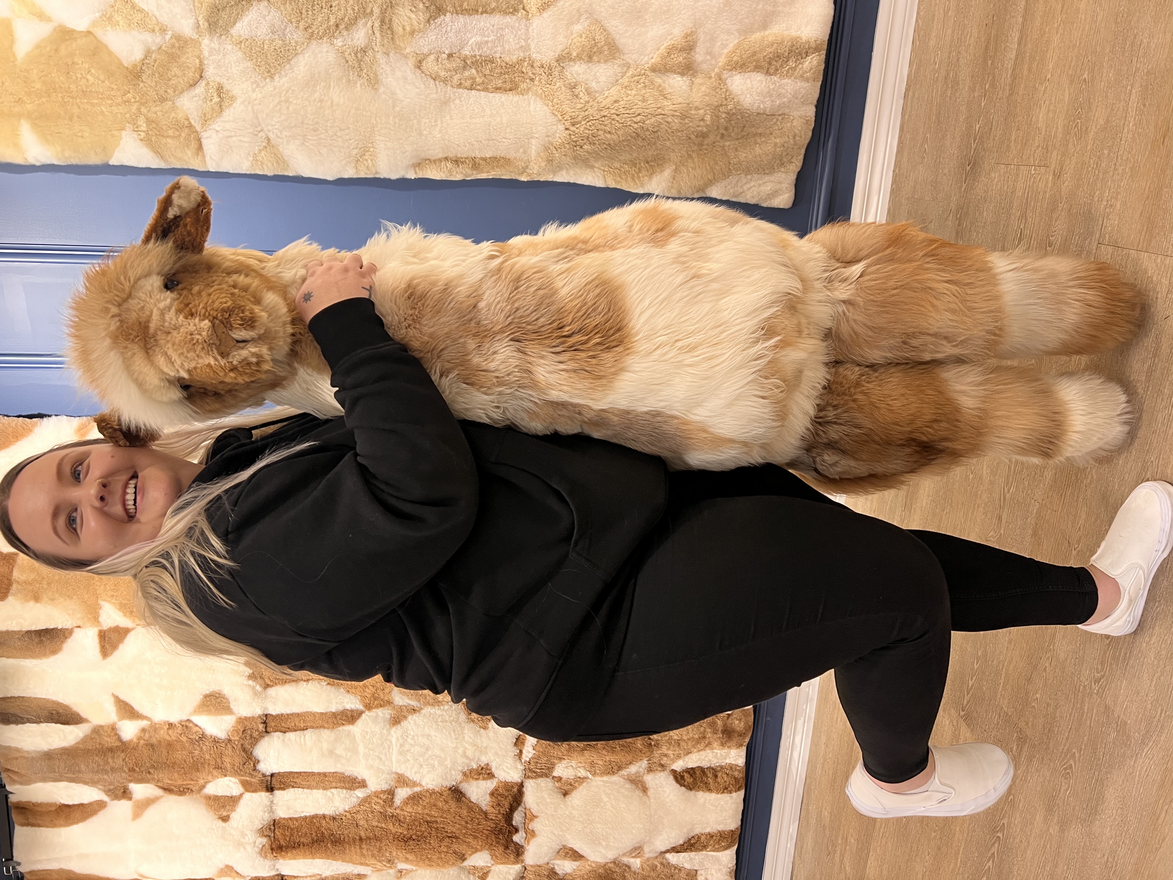 image-9
