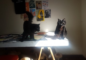 Cleo And Miguel