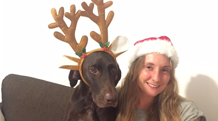 image-2