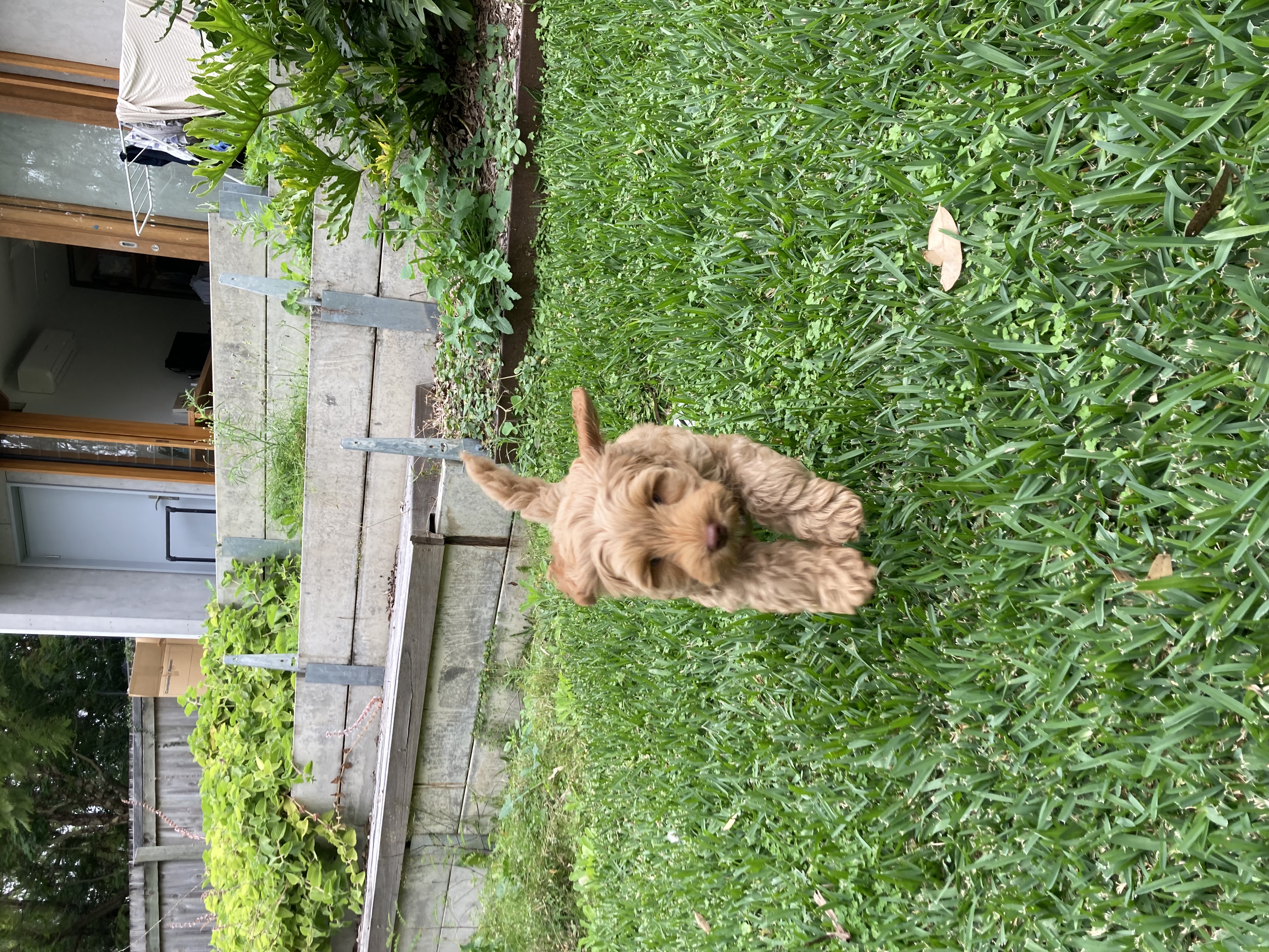 image-20
