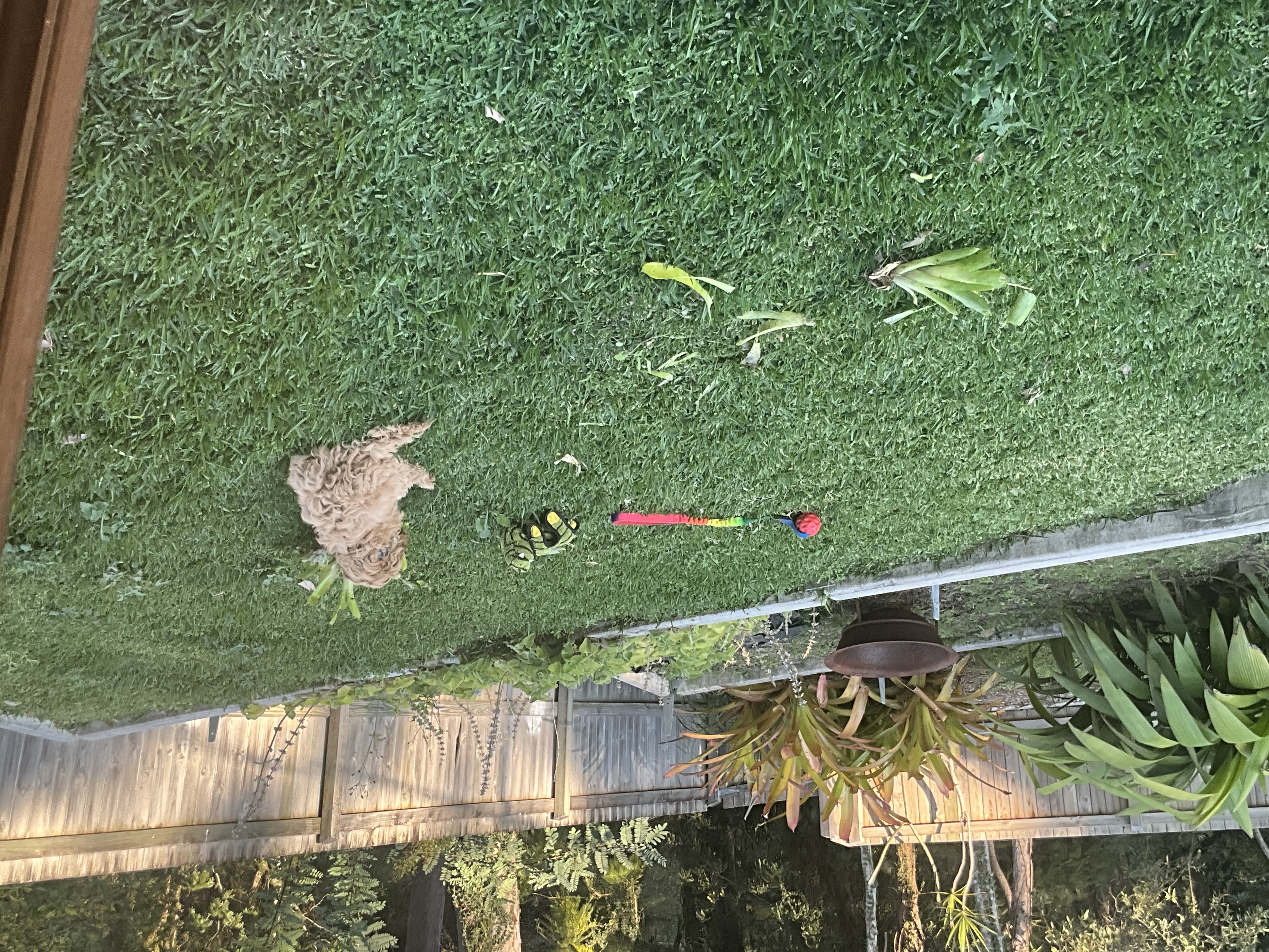 image-7