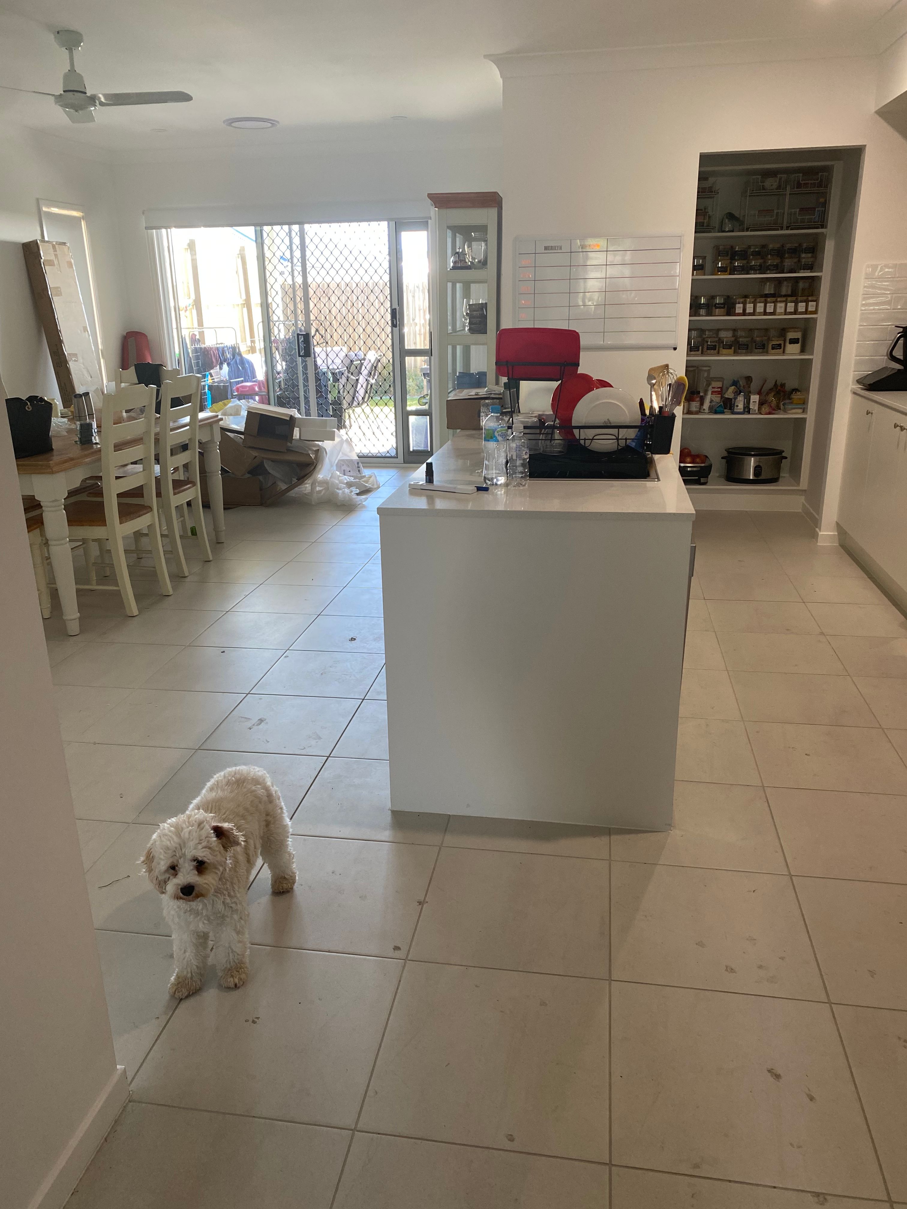 image-16