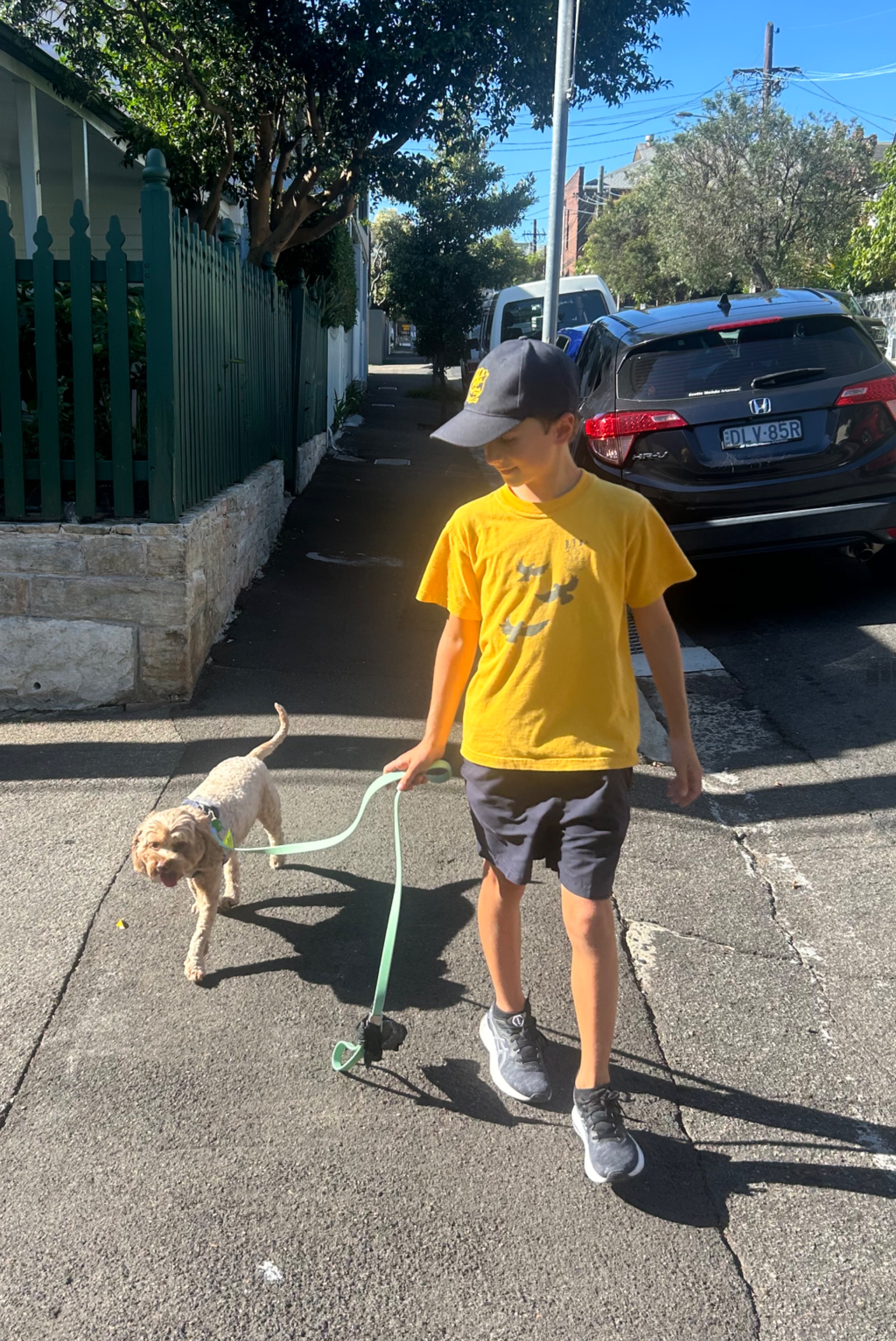 image-11